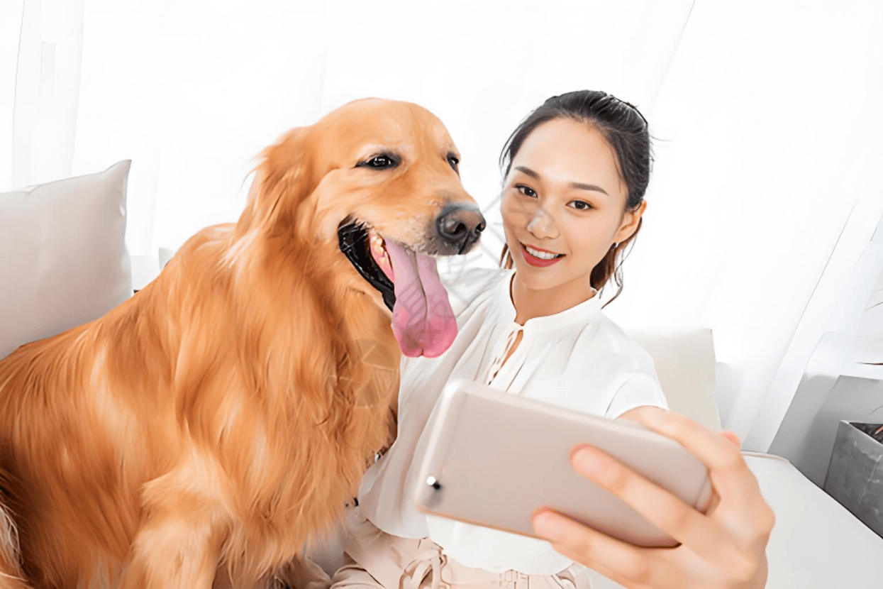 链分析：现状、痛点、需求、趋势pg模拟器