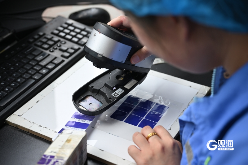 ：做足宠物用品“面子工程”产能产值双破亿pg电子首页智观“它经济”①｜方大包装(图2)